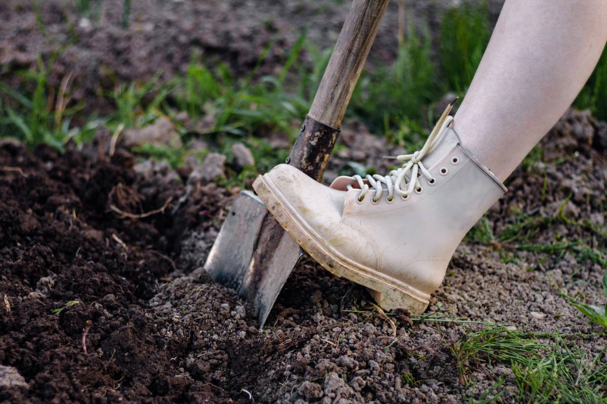 Close up woman digs soil with metal shovel. Digging ground for plant seeding. Agriculture concept. Worker in gloves. Copy space. Horizontal orientation