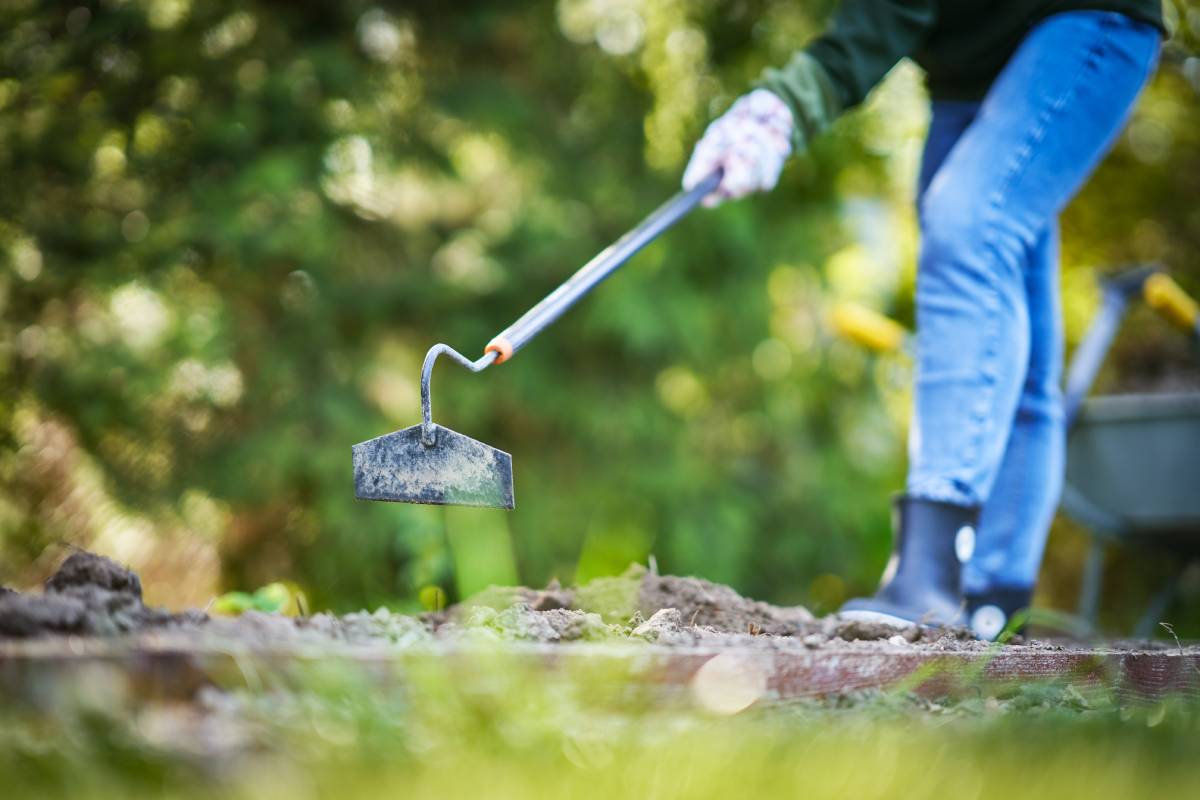 Picture of woman working with tools in the garden. High quality photo